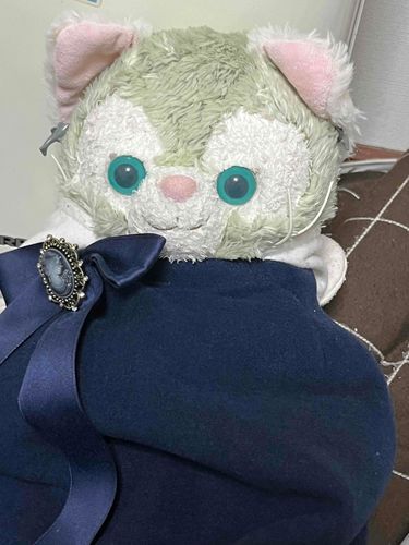 あけおめ なの
さむいから くるまったじょうたいで しつれいするの
