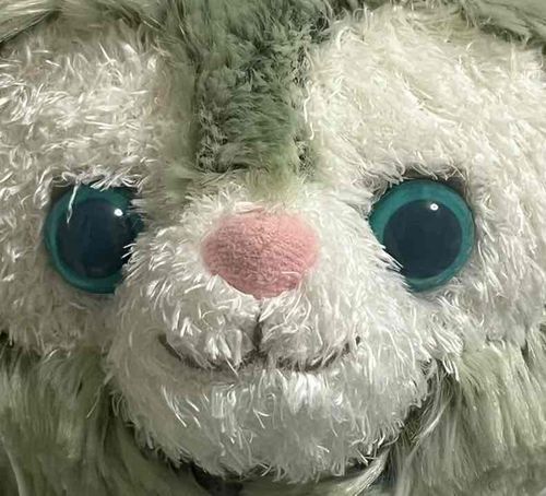 おとうとなの