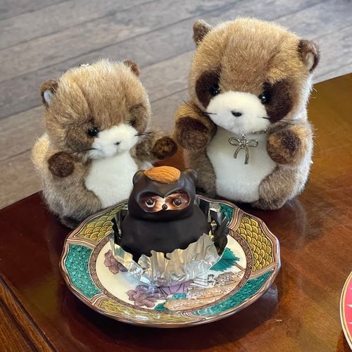 おうちのひと と かふぇ いく の すき やねん !!
この ひ わ たぬきけ〜き🧁⟡.·