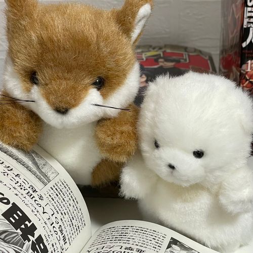 じゃこ と ある の どくしょ の じかん 📓⟡.·