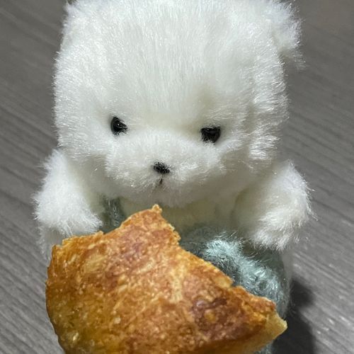 もぐもぐ しとる ある かわええ やけん みて 🍞⟡.·