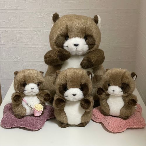 たぬきさん しゅご❕