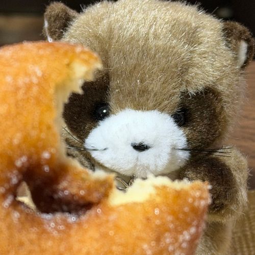 ぼく の おおき おくち 🍩𓈒 𓂂𓏸