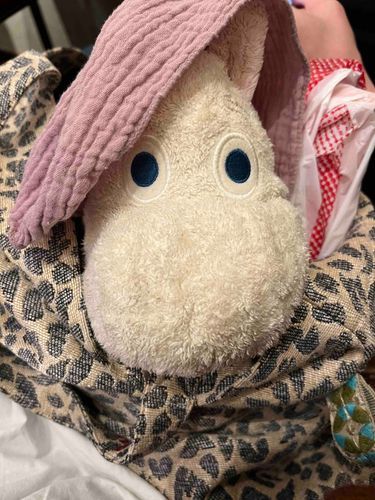 本人曰く「隠れのむん」だそうです。外に出る時はこの感じです。