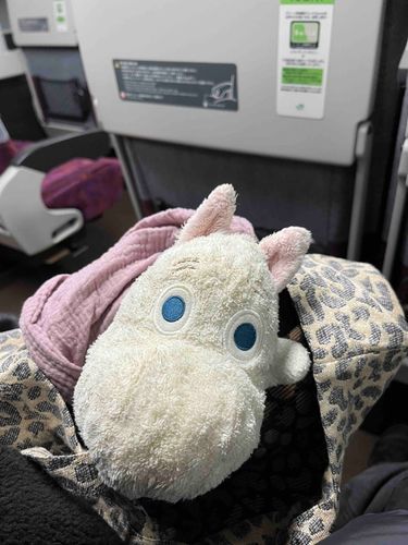 今日のお出かけむんちゃん！
中央線のグリーン車、今は無料なので乗りまくりです。むんちゃんも楽しいって言ってくれてます！