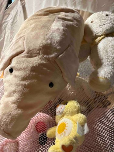 さっぱり🛀🫧