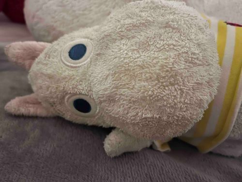 お腹いたたたーっで横になってるとき、様子を伺いによこになってくれたむんちゃん