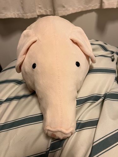 Twitterでぬい活で色々なぬいぐるみを見ていたところとても悲しいポストを見てしまいました。ぬい活がそんなに火種になることが来ると思いませんでした。今後はひっそりぬい活します。ここの皆さんはとても優しいので安心してぬいの写真を載せられます😊ありがたいSNSです。