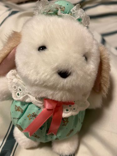 たけお（男の子）が可愛すぎる件🐶！