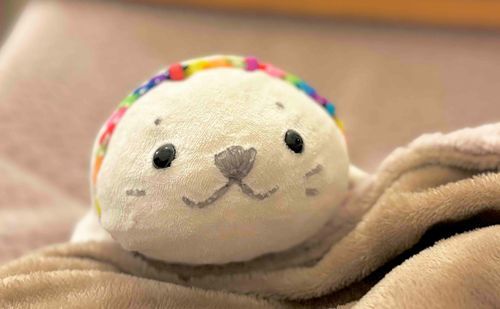 目覚めてはじまるあざらしい1日⚪️🌈✨️
みんなに見てもらいたいフォトがたくさんなのに、ちょっとおひさしぶりになっちゃったよ〜⚪️💦
あざらしいリズムをととのえてたくさんとうこうするぞ〜!!🕺⚪️💃