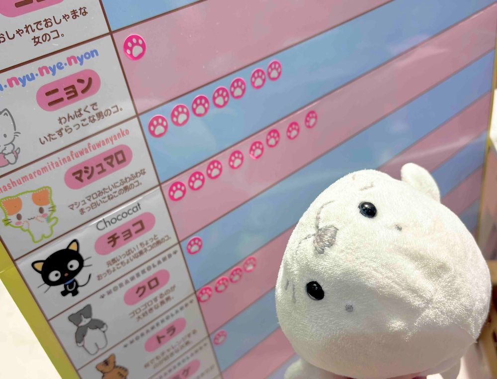 目覚めてはじまるあざらしい1日⚪️🐶🫖
えぬうぉーむさんと一緒にバレンタインなケーキをたくさんたべたよ〜🍰!!ハーブスさんのケーキは大迫力な大きさだけどおいしく完食できたよ〜⚪️🎶
どれもうっとりしちゃうくらいおいしかったなぁ〜✨️

そのあとはたまと姉がすきなゲームでお世話になってるチョコキャットくんの新作グッズをかって投票もしてきたよ〜🐾🤍

みんなはバレンタインにむけておいしいものたべてるかなぁ〜??