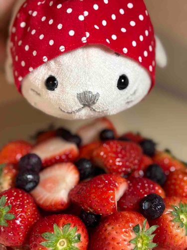 目覚めてはじまるあざらしい1日⚪️🍓🎶
最近は乾燥して大変だからいちごで水分をほきゅ〜してるよ〜!
たまがよくかぶってるねこちゃん用お帽子ガチャの新作がフルーツだったの〜！
うれしくってまわしたらいちごが2つ🍓🍓
ルークとおそろいでつかえてハッピ〜だよ〜🐼🎶