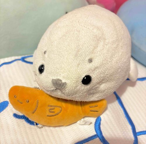 目覚めてはじまるあざらしい一日⚪️🐟
みんな〜！とってもさむたいね〜⚪️💦
みんなもおうちの人たちもみんなむりせずにね〜!!
こちらはこの前ガチャガチャでお迎えした若鮎さん🐟