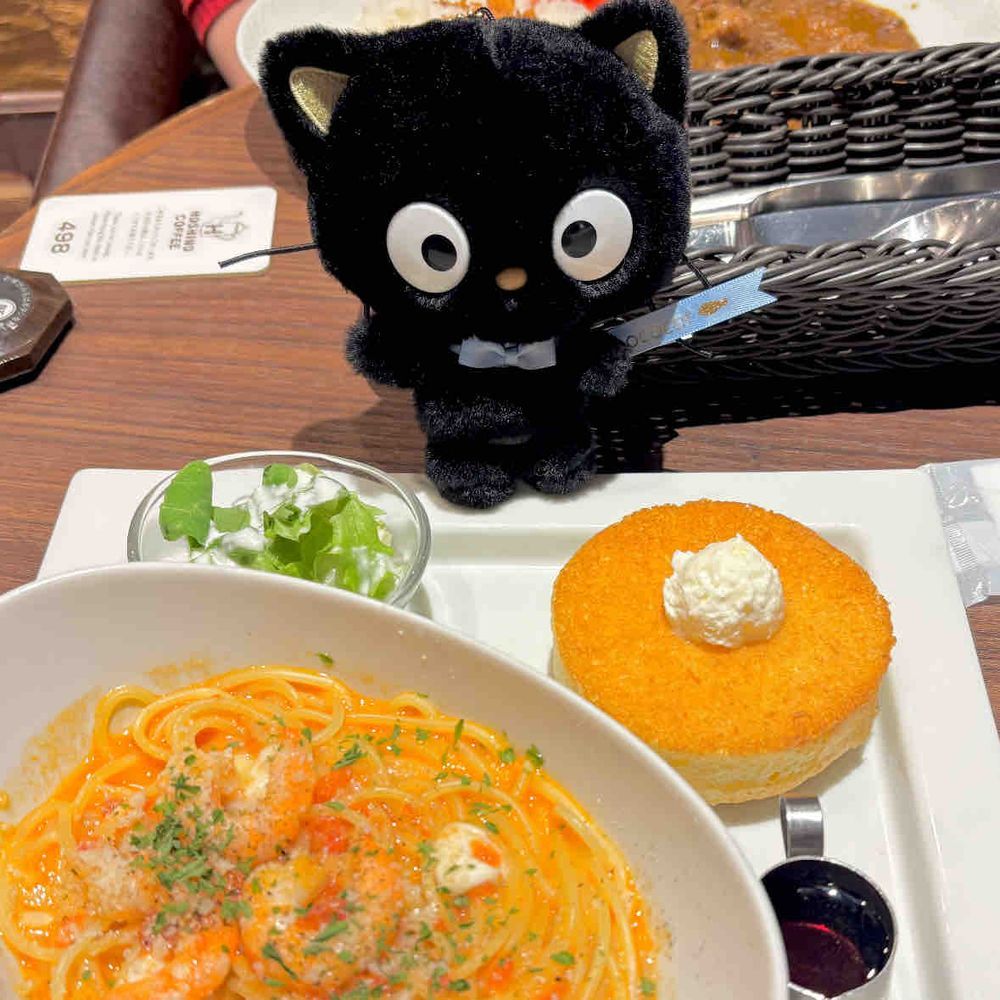目覚めてはじまるあざらしい1日⚪️🐈‍⬛🐧
この前えぬうぉくん＆チョコキャットくんとお出かけした時のフォト🎶
チョコキャットくんはまじめで色んなものにきょうみしんしんだったよ〜👀📖
えぬうぉくんはゆめかわな服をきてて暖かそうだったなぁ〜🌈🦄