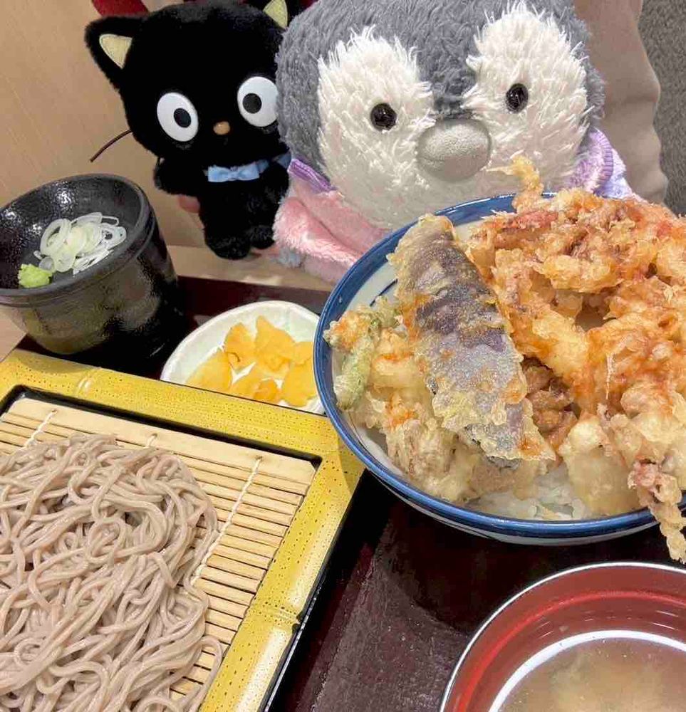 姉とえぬくんのおうちの人はてんやが大好きでよく連れてってもらうんだ〜🥢もちろんたまも大好き‎🤍
みんなで相談しながら天ぷらを追加したり、おそばやうどんをセットにしてたのしんだよ〜⚪️🎶
みんなは何の天ぷらがすきかな〜🐟🦐🥬??