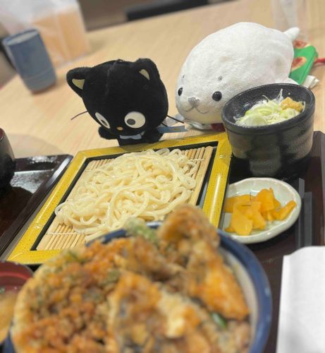 姉とえぬくんのおうちの人はてんやが大好きでよく連れてってもらうんだ〜🥢もちろんたまも大好き‎🤍
みんなで相談しながら天ぷらを追加したり、おそばやうどんをセットにしてたのしんだよ〜⚪️🎶
みんなは何の天ぷらがすきかな〜🐟🦐🥬??