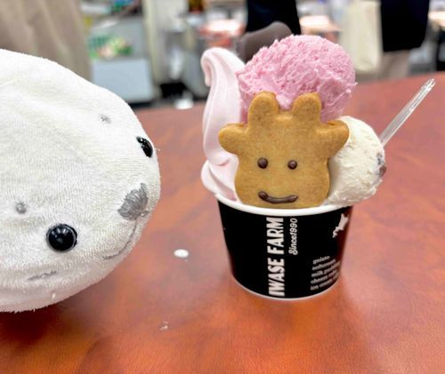 みんなやっほ〜⚪️🌸
春はかふんしょ〜の姉がよわる季節だから「おうえん📣⚪️」に大忙しでいたよ〜⚪️💦
ごほうびに、 北海道物産展でうしさんジェラート×アイスを🎶🐮🍨
海鮮のゆうわくもとんでもなかったよ〜✨️
いつかたくさんかってパーティひらきたいなぁ。