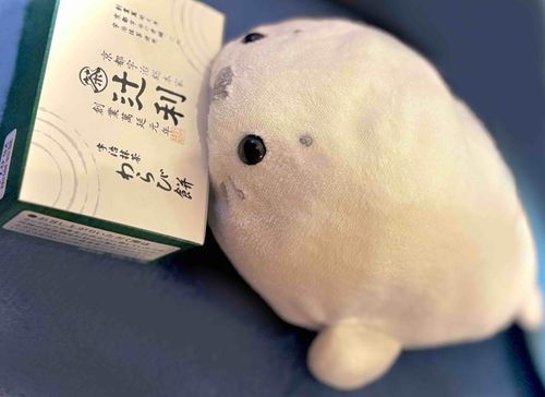 みんなやっほ〜⚪️🌿‬
ばたばたあざらしでなかなか投稿できてなかったよ〜⚪️💦
こちらはとってもおいしそうなお土産をもらって、おもわず箱にかじりついちゃった時のフォト📷