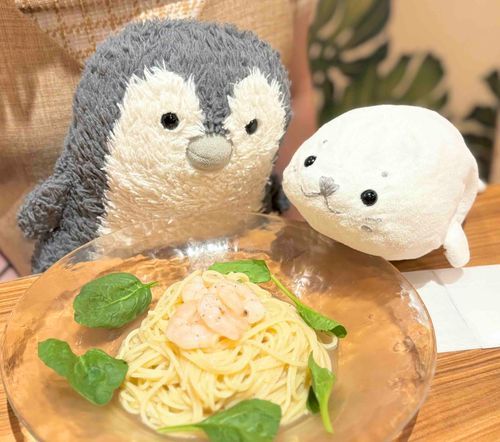 目覚めてはじまるあざらしい1日⚪️🐧
昨日はえぬうぉくんとおでかけ〜✨️
涼やかなたべものをいただいて涼をかんじたよ〜🌿‬🍋🌊