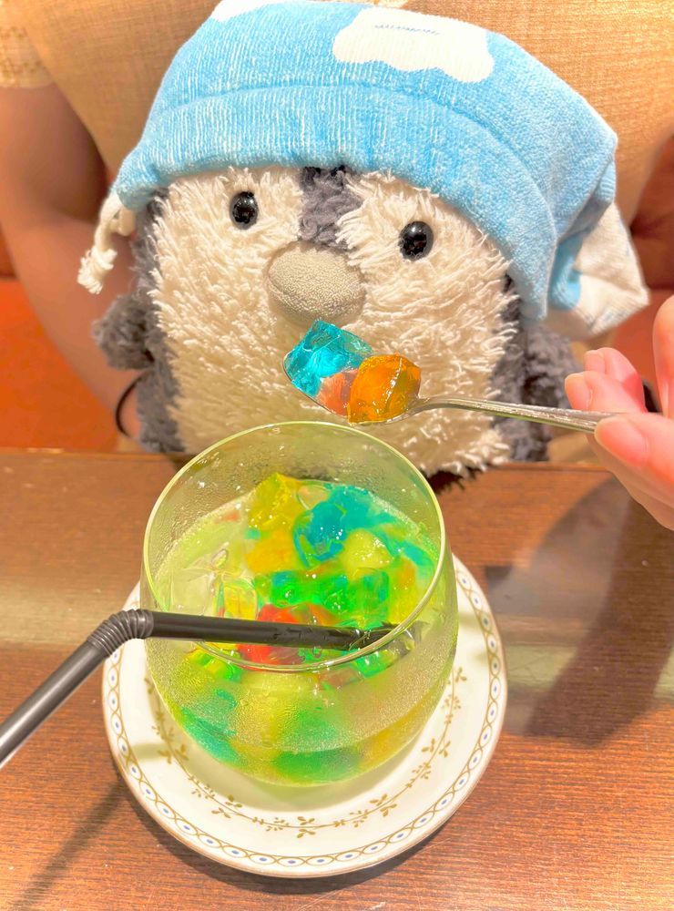 目覚めてはじまるあざらしい1日⚪️🐧
昨日はえぬうぉくんとおでかけ〜✨️
涼やかなたべものをいただいて涼をかんじたよ〜🌿‬🍋🌊