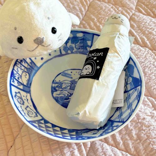 はろ〜はろ〜あざらし⚪️☀️
しろたんショップからお届け物とどいたよ〜📦
姉の日傘とおねだりして買ってもらったおさら🌊🖌
おさらに入ってみたらヒンヤリしてて心地よかったよ〜🧊✨️
日傘は天体観測ができるようになってた!!