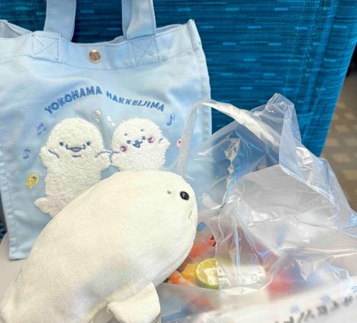 めざめてはじまるあざらしい1日⚪️💨🚄💨🐟💨
みんな〜あつい夏を楽しくすごせているかなぁ〜??
たまは新幹線でちょっくらおでかけ〜⚪️🎶
まずは腹ごしらえとおひるねするね〜🐟💤