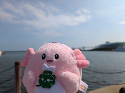 福島ラッキー。
小名浜だよ。
