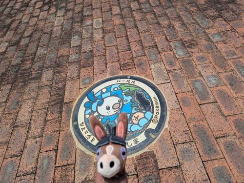 ドロバンコ
伊勢志摩だよ。
