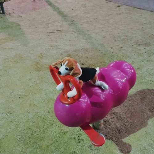 夜の公園、たのしい！