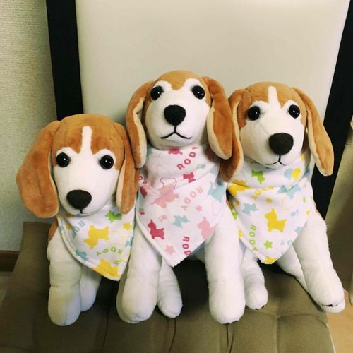 実は3兄弟なんだ！