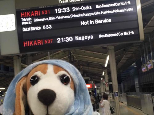 かこしゃしん。
東京に行ったときの。