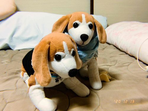 ばあちゃんちで2号と遊んできたよー