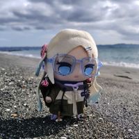 旅ぬいルリちゃん