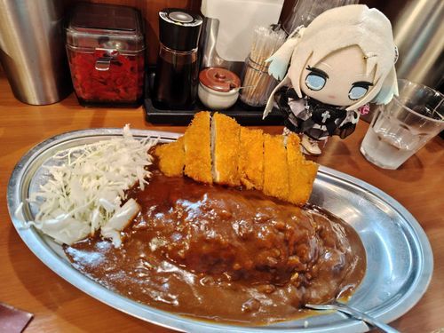 たくさん歩いたね！秋葉原で金沢カレーが食べられる幸せよ〜(*´﹃｀*)
#ぬい旅　#大沢瑠璃乃
