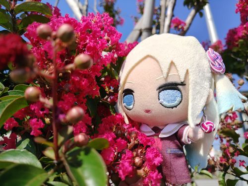 瑠璃ピンク色のサルスベリの花
#ぬい旅　#大沢瑠璃乃