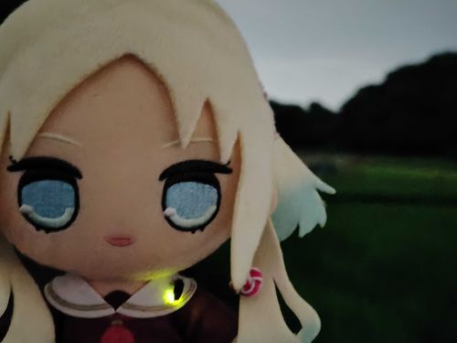ルリちゃんの衿に留まるヘイケボタル
#ぬい旅　#大沢瑠璃乃
