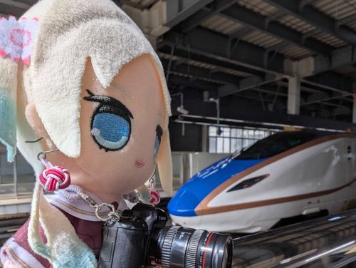 撮り鉄ルリちゃん
#ぬい旅　#大沢瑠璃乃
2026.-3.20