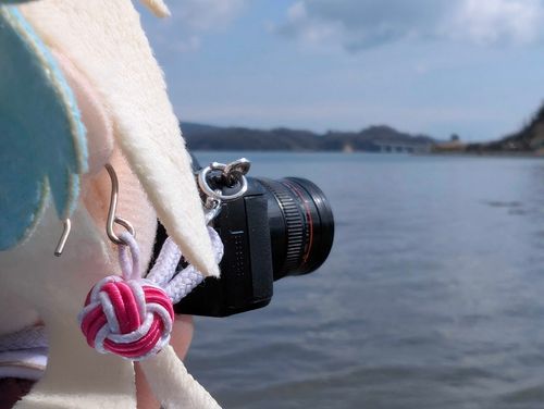 能登島の写真を撮ってます。能登はルリちゃんの故郷です。
2026.-3.19