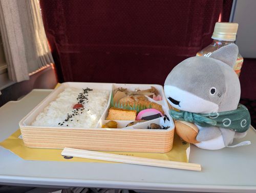 特急ひだ号で駅弁を頬張る小ザメちゃん。ヨダレが可愛い
2026.-3.18