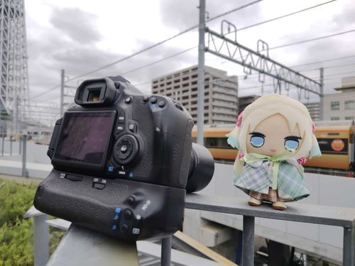 むっちゃんとお出かけ中だよ。
#ぬい旅　#大沢瑠璃乃