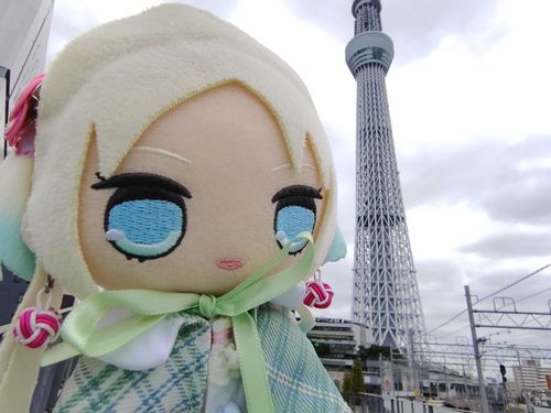 東京スカイツリー！
#ぬい旅　#大沢瑠璃乃