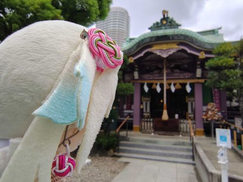 一部界隈で有名な高木神社へ参拝したよ。縁結びパワースポットでもあるよ！
#ぬい旅　#大沢瑠璃乃
