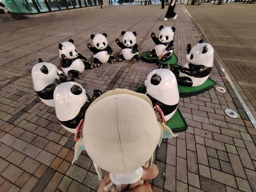 おぉ！パンダが集会してる←ぇ
#ぬい旅　#大沢瑠璃乃