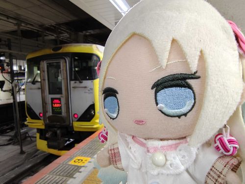 今日は特急しおさいで帰るよ！ワクワクするよね！
#ぬい旅　#大沢瑠璃乃