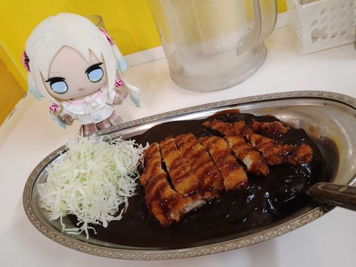 今日はむっちゃんの友達とホロライブ巡りしてきたよ。そのお昼ご飯はゴーゴーカレー！久々に金沢の味を楽しめたんだ！ごちそうさまでしたm(_ _)m
#ぬい旅　#大沢瑠璃乃