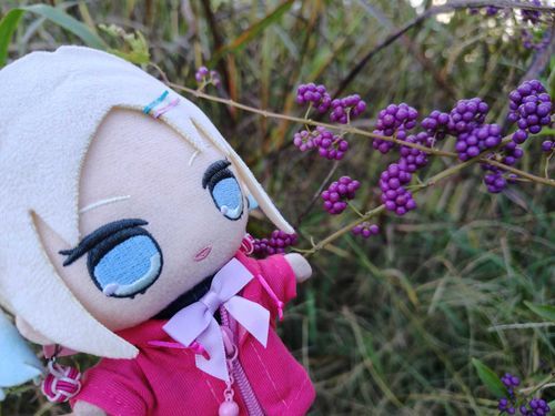 ムラサキシキブの実！
#ぬい旅　#大沢瑠璃乃