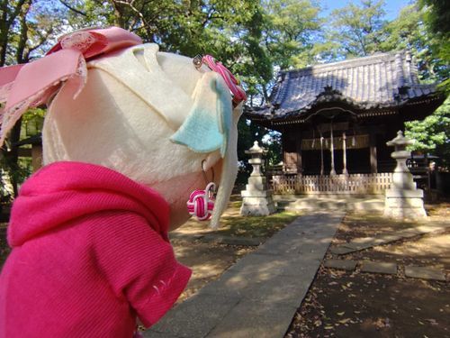 今日は買い物へ行く途中で第六天神社へ参拝したよ。
#ぬい旅　#大沢瑠璃乃