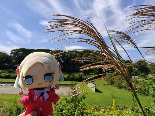 いやぁ、秋晴れですなぁ〜
#ぬい旅　#大沢瑠璃乃