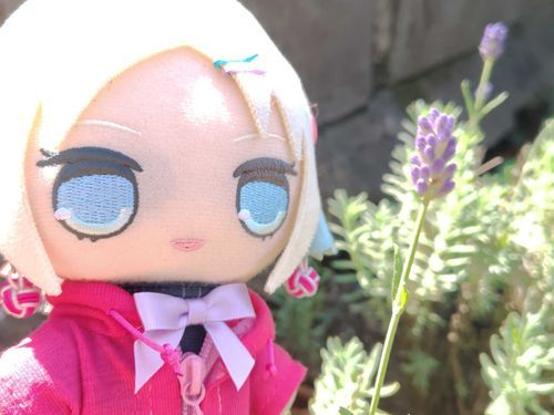 ラベンダーっていい香りだよね！ルリ、チョー好き！
#ぬい旅　#大沢瑠璃乃