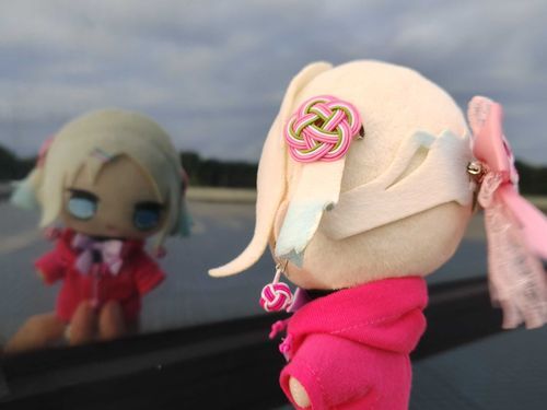 ルリが2人…だと！？
#ぬい旅　#大沢瑠璃乃